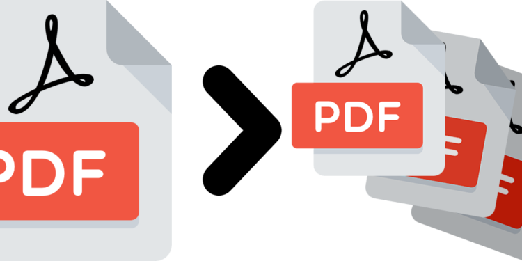 PDF File Splitting With PDFBear